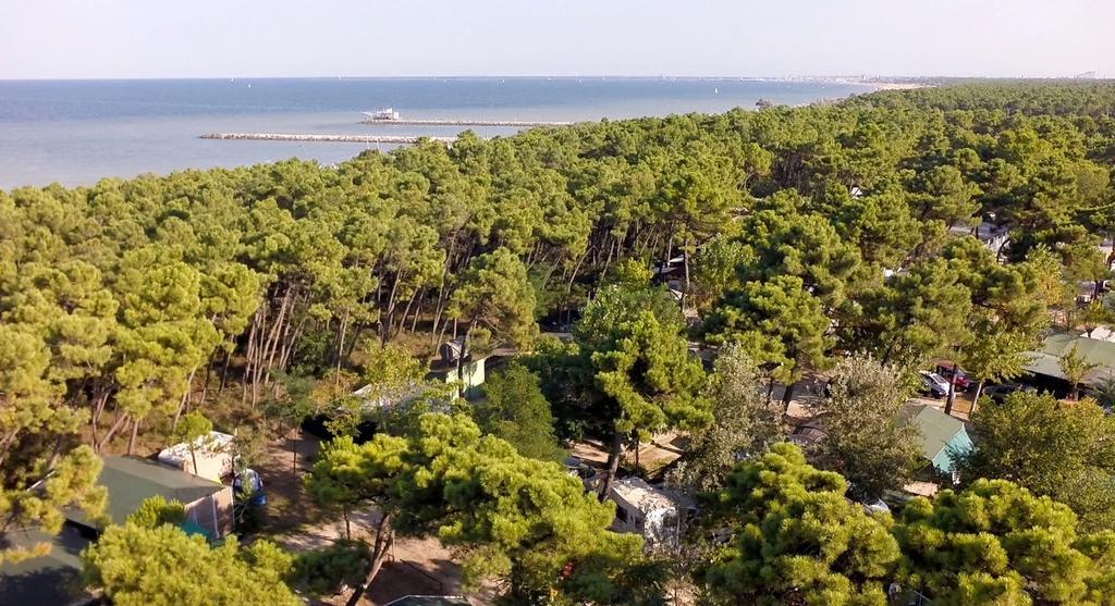 Romea Family Camping Casal Borsetti Eksteriør bilde
